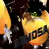 Mimosa (feat. AOB100Round & YN Jay) - Single album lyrics, reviews, download