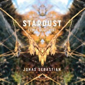 Stardust (I'm a Believer) artwork