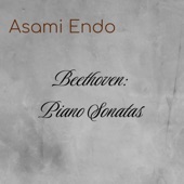 Piano Sonata No. 25 in G Major, Op. 79, I. Presto alla tedesca artwork