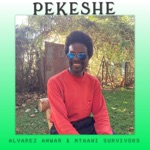 Alvarez Anwar & The Mtaani Survivors - Pekeshe