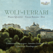 Duo for Violin and Cello in G Minor, Op. 33 - Quartetto Guadagnini, Costantino Catena & Amedeo Cicchese