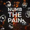 Numb the Pain (feat. Catas, Le Malls & Chenda) - Single album lyrics, reviews, download