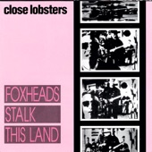 Close Lobsters - I Kiss the Flowers In Bloom