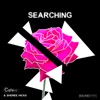 Searching - Single