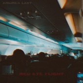 red eye flight by Andrea Lavy