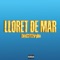 Lloret de Mar (feat. Fargiion) - Lloyd 23 lyrics