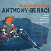 The Blues Called My Name (feat. Sugar Ray Norcia & Monster Mike Welch) artwork