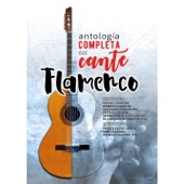 Antología Completa del Cante Flamenco artwork
