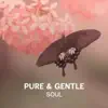 Pure & Gentle Soul – Meditation Music for Laden and Tired Mind, Calming Sounds to Fight Stress and Negative Emotions album lyrics, reviews, download