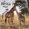 The Africa artwork