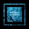 Nature Sounds of the Ocean album lyrics, reviews, download