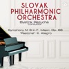 Symphony N° 6 In F  Major, Op. 68 "Pastoral": III. Allegro - Single (with Bystrik Rezucha) - Single