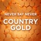 Never Say Never - Cole Swindell & Lainey Wilson lyrics