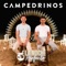 La Noche Perfecta - Campedrinos lyrics