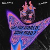 Has the World Gone Mad (feat. our friend) - Single