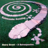 Salamander Crossing - Things We Said Today