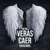 No Me Verás Caer - Single