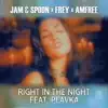 Right in the Night (feat. Plavka) - Single album lyrics, reviews, download