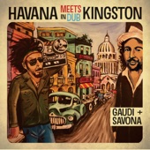 Havana Meets Kingston in Dub artwork