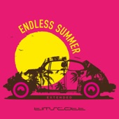 Endless Summer (Extended) artwork
