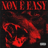 Non è Easy artwork