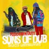 Riddimentary: Suns of Dub Selects Greensleeves