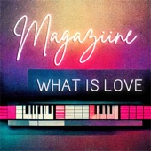 What Is Love (feat. Arielle Kasnetz & Anilee List) artwork
