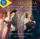 Serenata: Brazilian Music for Chamber Orchestra artwork