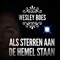 Als Sterren Aan De Hemel Staan artwork