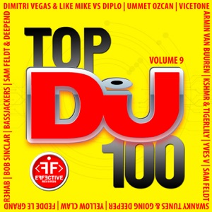 Dj Top 100, Vol. 9