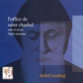 Ya mar charbel (Bénédiction avec l'icône de Saint Charbel) artwork