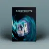 Perspective (feat. King Roc) - Single album lyrics, reviews, download