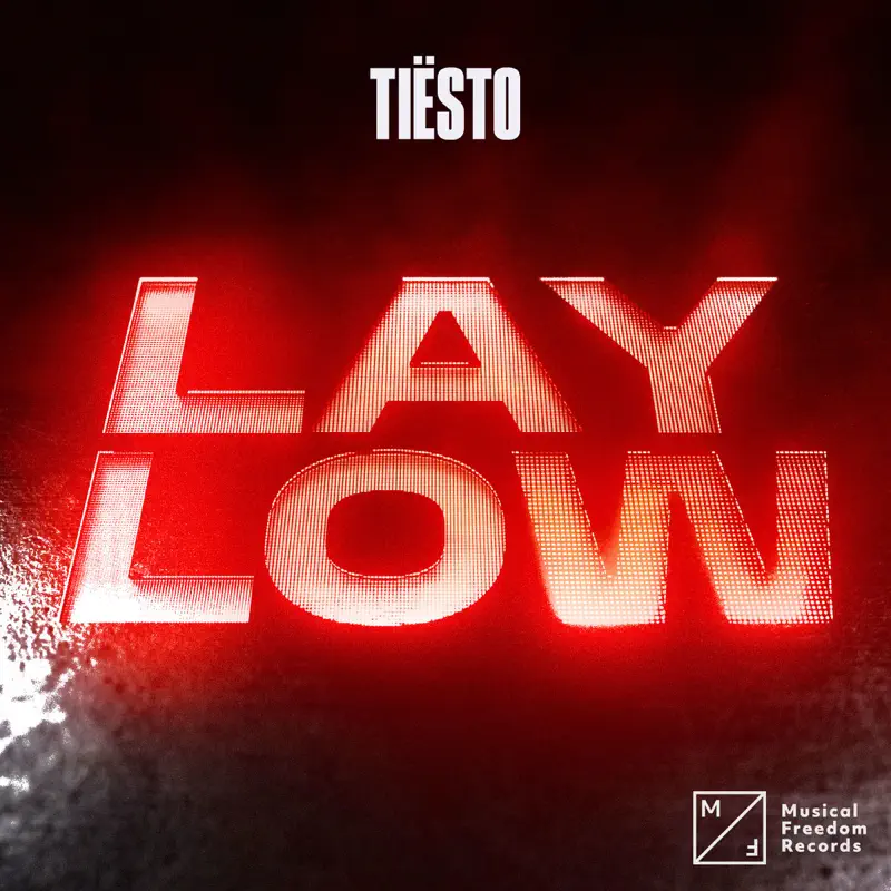 Tiësto - Lay Low - Single (2023) [iTunes Plus AAC M4A]-新房子