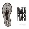 Baieti Mari (feat. NOSFE, Passcall & Kheops) - Single album lyrics, reviews, download