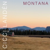 Montana artwork