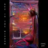 Bug in the Window - Single album lyrics, reviews, download