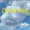 Paranoid (feat. T-Choppa) - yungandpimpin lyrics