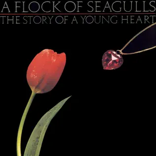 last ned album A Flock Of Seagulls - The Story Of A Young Heart
