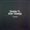 The Message (Liquid X Dub) [feat. Allen Hidalgo] - Temple lyrics