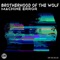 Human Error (Dorbachov Remix) - Brotherhood of the Wolf lyrics