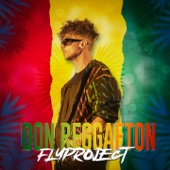 Don Reggaeton artwork