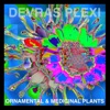 Devras Plexi - Halelui