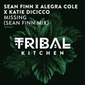 Missing (Sean Finn Radio Edit) artwork