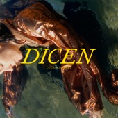 Lucrecia Dalt - Dicen