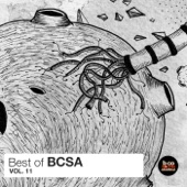 Best of BCSA, Vol. 11 artwork