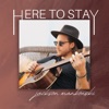 Here to Stay - Single