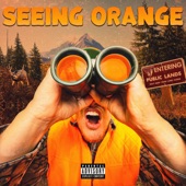 Seeing Orange artwork