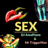 SEX (feat. DJ AmaPiano & Mr TriggerMan) artwork
