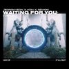 Waiting for You (VIP Mix) - Single