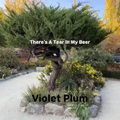 There's a Tear In My Beer - Single by Violet Plum album reviews, ratings, credits